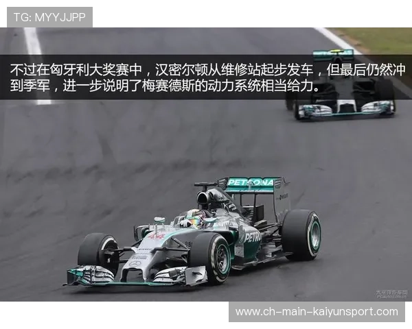 F1龙争虎斗轮胎策略成决胜因素